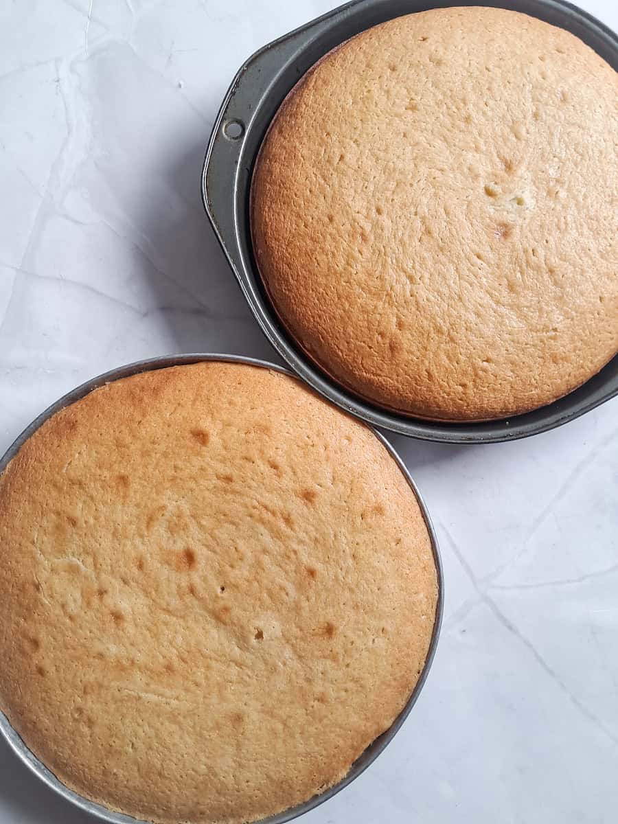 2 round pans with baked white cake.