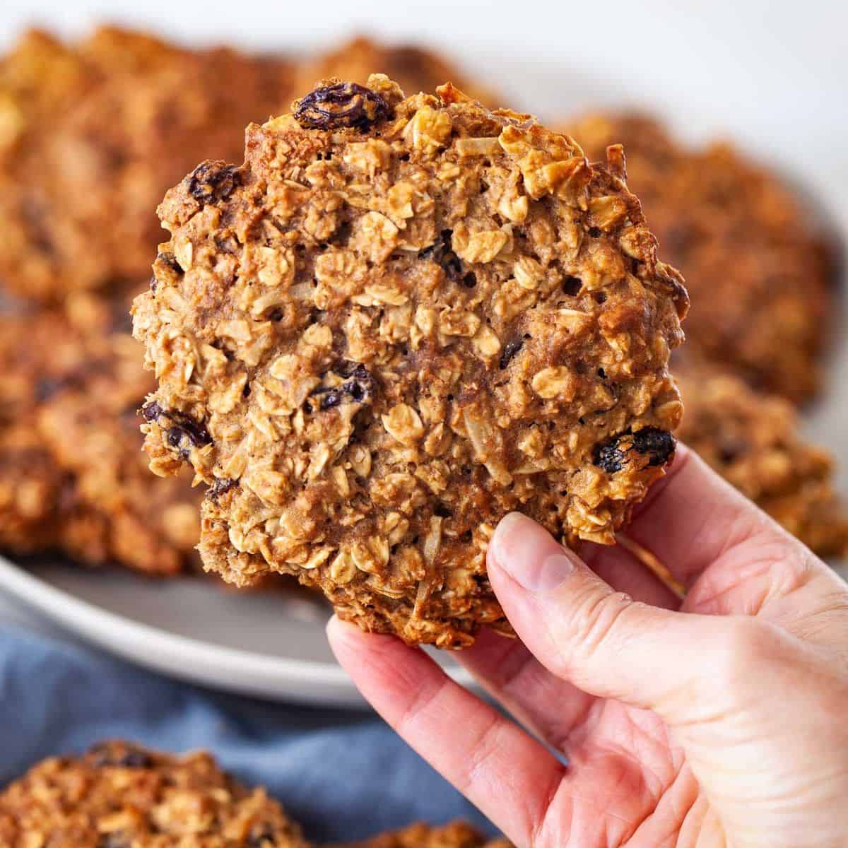 holding a banana oatmeal raisin cookie with a plateful in the background.
