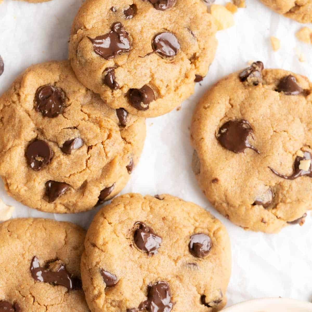 chocolate chip cashew butter cookies recipe without flour.