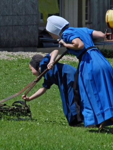 Amish girls mowing with a push mower.