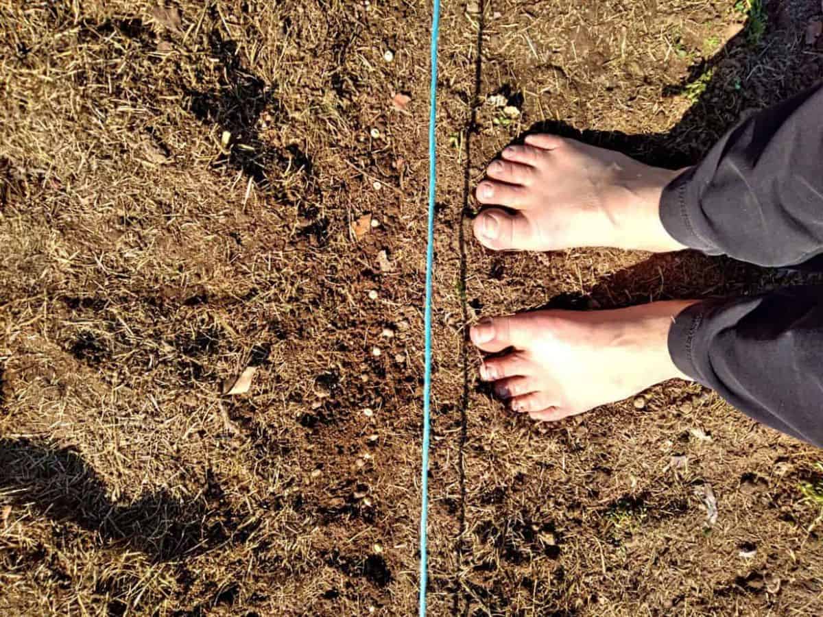 barefoot Amish feet in the garden.