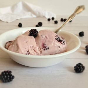 a small bowl with a couple scoops of homemade amish blackberry ice cream and blackberries scattered around.