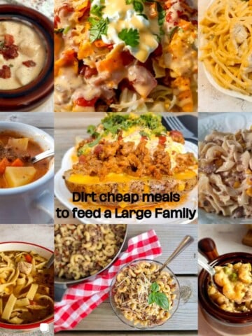 featuring 9 different dishes that make dirt cheap meals for large families.