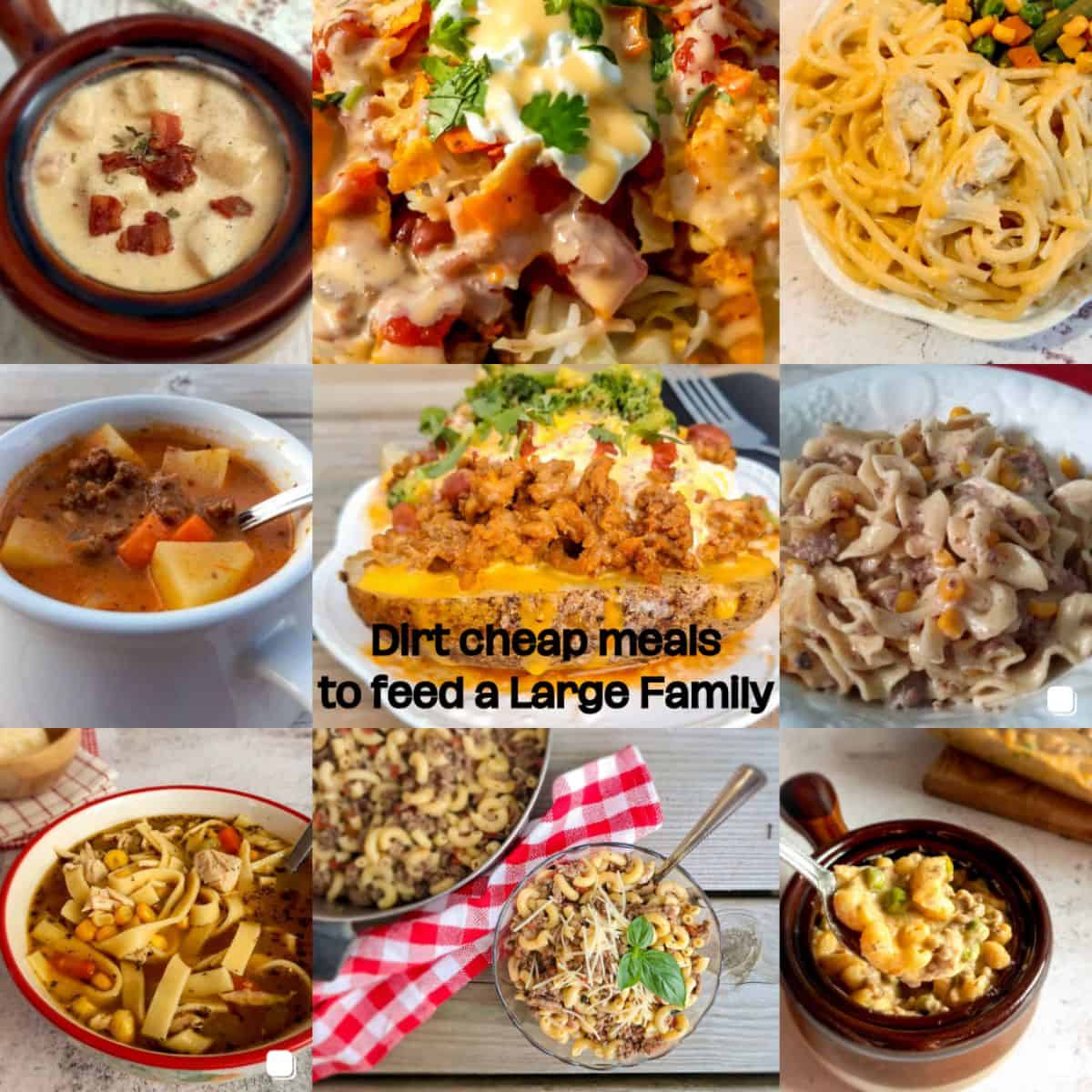 featuring 9 different dishes that make dirt cheap meals for large families.