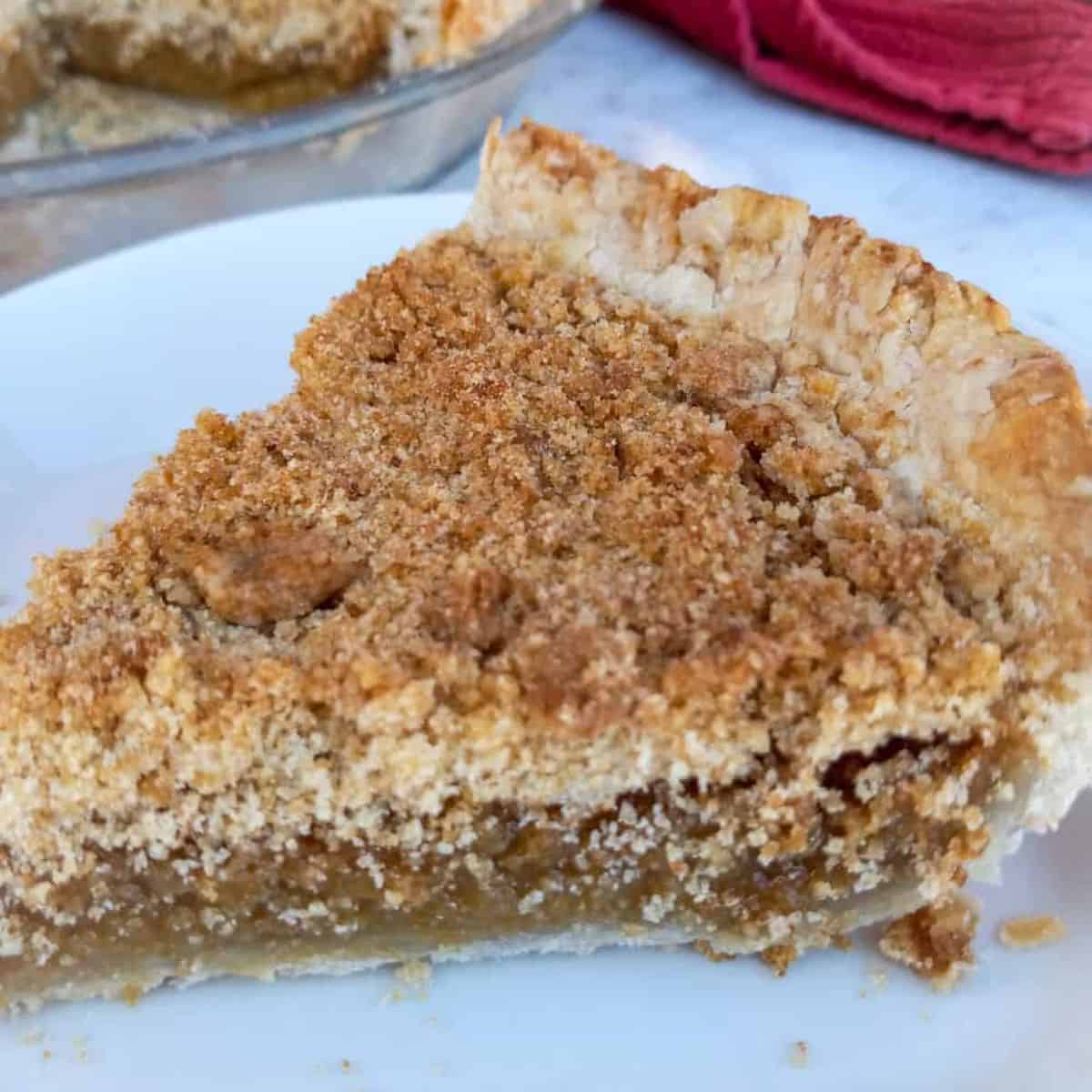 a slice of Amish vanilla crumb pie.