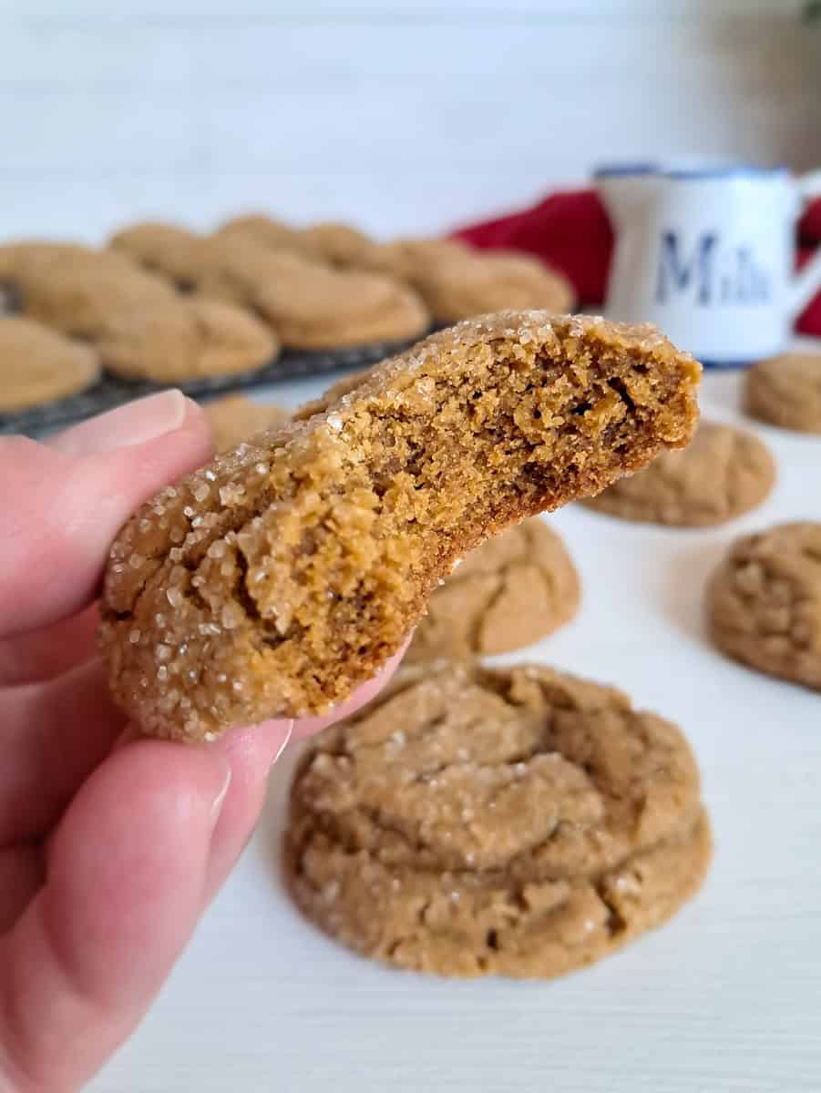 close-up photo of a cookie with a bite out of it.