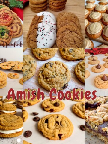 Amish cookies - here we are featuring molasses cookies, chocolate chip, peanut butter, pumpkin, date pinwheel. and fudge bars.