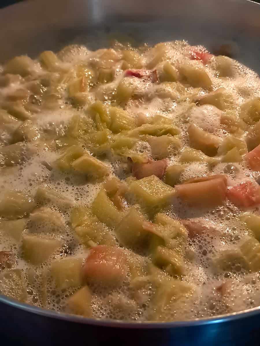 cooking diced rhubarb in a large pot with water and sugar.