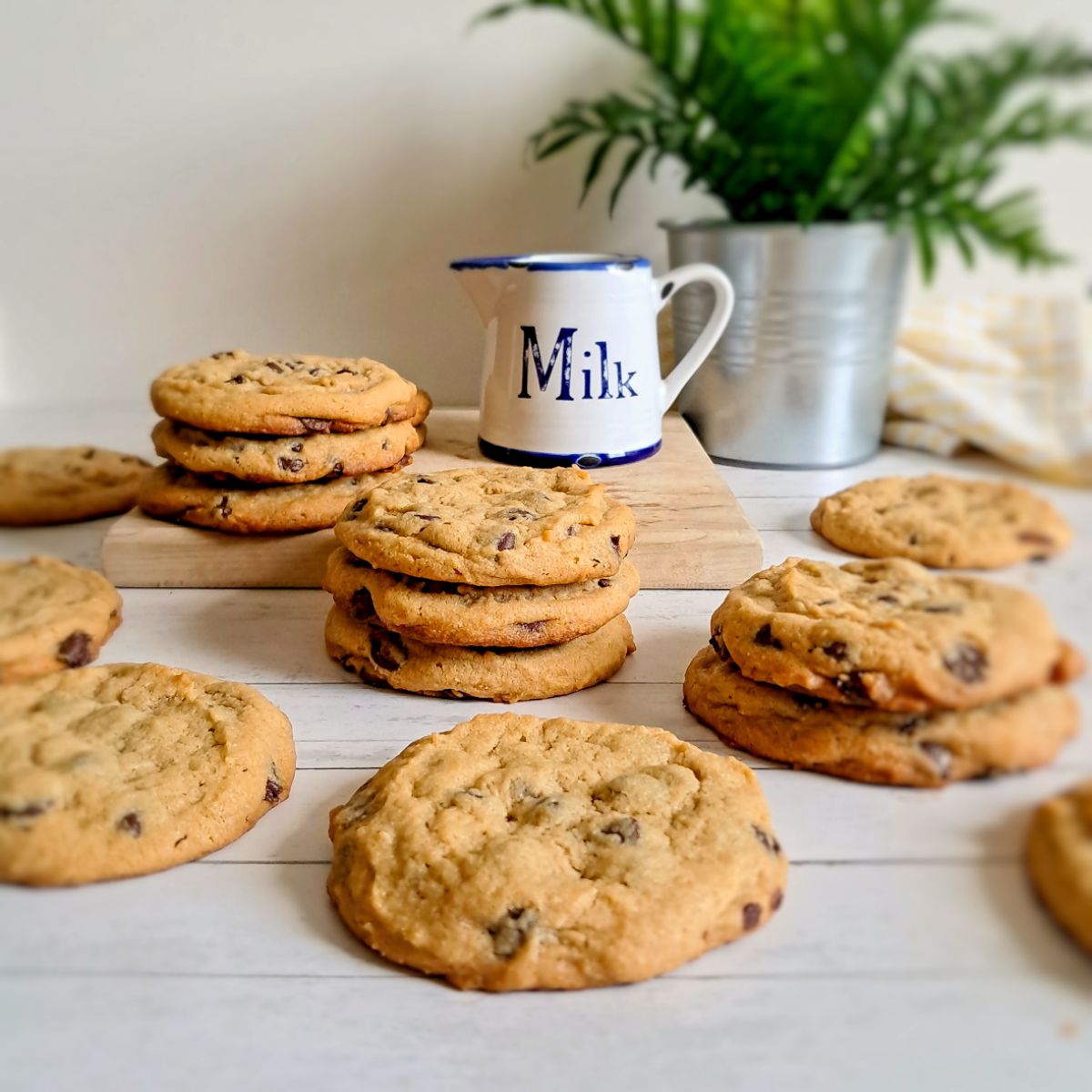 peanut butter chocolate chip cookies